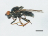  ( - PCPP10-0919)  @12 [ ] CreativeCommons - Attribution (2011) CBG Photography Group Centre for Biodiversity Genomics