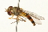  ( - 09BBEDI-0174)  @13 [ ] CreativeCommons - Attribution (2009) Unspecified Centre for Biodiversity Genomics