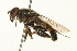  ( - 09BBEDI-0176)  @13 [ ] CreativeCommons - Attribution (2009) Unspecified Centre for Biodiversity Genomics