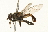  ( - 09BBEDI-0177)  @12 [ ] CreativeCommons - Attribution (2009) Unspecified Centre for Biodiversity Genomics