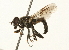 ( - 09BBEDI-0180)  @13 [ ] CreativeCommons - Attribution (2009) Unspecified Centre for Biodiversity Genomics