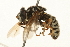  ( - 09BBEDI-0186)  @12 [ ] CreativeCommons - Attribution (2009) Unspecified Centre for Biodiversity Genomics