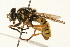  ( - 09BBEDI-0187)  @13 [ ] CreativeCommons - Attribution (2009) Unspecified Centre for Biodiversity Genomics