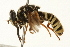  ( - 09BBEDI-0189)  @12 [ ] CreativeCommons - Attribution (2009) Unspecified Centre for Biodiversity Genomics