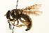  ( - 09BBEDI-0197)  @14 [ ] CreativeCommons - Attribution (2009) Unspecified Centre for Biodiversity Genomics