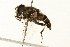  ( - 09BBEDI-0204)  @14 [ ] CreativeCommons - Attribution (2009) Unspecified Centre for Biodiversity Genomics