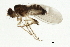  ( - 09BBEDI-0408)  @13 [ ] CreativeCommons - Attribution (2009) Unspecified Centre for Biodiversity Genomics