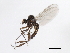  ( - 09BBEDI-0370)  @14 [ ] CreativeCommons - Attribution (2009) Unspecified Centre for Biodiversity Genomics