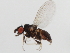  ( - 09BBEDI-0681)  @13 [ ] CreativeCommons - Attribution (2010) Unspecified Centre for Biodiversity Genomics