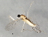  ( - 09BBEDI-0723)  @12 [ ] CreativeCommons - Attribution (2010) Unspecified Centre for Biodiversity Genomics
