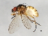  ( - 09BBEDI-0748)  @14 [ ] CreativeCommons - Attribution (2010) Unspecified Centre for Biodiversity Genomics
