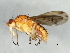  ( - 09BBEDI-0799)  @13 [ ] CreativeCommons - Attribution (2010) Unspecified Centre for Biodiversity Genomics