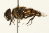  ( - 09BBEDI-0038)  @13 [ ] CreativeCommons - Attribution (2009) Unspecified Centre for Biodiversity Genomics