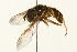  ( - 09BBEDI-0040)  @13 [ ] CreativeCommons - Attribution (2009) Unspecified Centre for Biodiversity Genomics