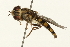  ( - 09BBEDI-0041)  @12 [ ] CreativeCommons - Attribution (2009) Unspecified Centre for Biodiversity Genomics
