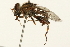  ( - 09BBEDI-0082)  @13 [ ] CreativeCommons - Attribution (2009) Unspecified Centre for Biodiversity Genomics