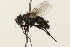  ( - 09BBEDI-0108)  @13 [ ] CreativeCommons - Attribution (2009) Unspecified Centre for Biodiversity Genomics