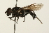  ( - 09BBEDI-0109)  @13 [ ] CreativeCommons - Attribution (2009) Unspecified Centre for Biodiversity Genomics
