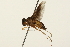  ( - 09BBEDI-0112)  @12 [ ] CreativeCommons - Attribution (2009) Unspecified Centre for Biodiversity Genomics