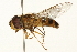 ( - 09BBEDI-0237)  @13 [ ] CreativeCommons - Attribution (2009) Unspecified Centre for Biodiversity Genomics
