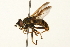  ( - 09BBEDI-0249)  @13 [ ] CreativeCommons - Attribution (2009) Unspecified Centre for Biodiversity Genomics