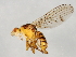  ( - 09BBEDI-1007)  @13 [ ] CreativeCommons - Attribution (2010) Unspecified Centre for Biodiversity Genomics