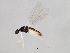  ( - 09BBEDI-1051)  @12 [ ] CreativeCommons - Attribution (2010) Unspecified Centre for Biodiversity Genomics