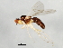  ( - 09BBEDI-1174)  @13 [ ] CreativeCommons - Attribution (2010) Unspecified Centre for Biodiversity Genomics