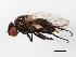  ( - 09BBEDI-1190)  @13 [ ] CreativeCommons - Attribution (2010) Unspecified Centre for Biodiversity Genomics