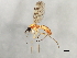 ( - 09BBEDI-1195)  @13 [ ] CreativeCommons - Attribution (2010) Unspecified Centre for Biodiversity Genomics