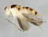  ( - 09BBEDI-1272)  @13 [ ] CreativeCommons - Attribution (2010) Unspecified Centre for Biodiversity Genomics