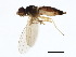  ( - 09BBEDI-1317)  @13 [ ] CreativeCommons - Attribution (2010) Unspecified Centre for Biodiversity Genomics