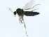  ( - 09BBEDI-1368)  @13 [ ] CreativeCommons - Attribution (2010) Unspecified Centre for Biodiversity Genomics