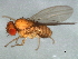  ( - 09BBEDI-1372)  @13 [ ] CreativeCommons - Attribution (2010) Unspecified Centre for Biodiversity Genomics