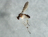  ( - 09BBEDI-1373)  @13 [ ] CreativeCommons - Attribution (2010) Unspecified Centre for Biodiversity Genomics