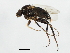  ( - 09BBEDI-1410)  @13 [ ] CreativeCommons - Attribution (2010) Unspecified Centre for Biodiversity Genomics