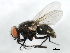  ( - 09BBEDI-1412)  @13 [ ] CreativeCommons - Attribution (2010) Unspecified Centre for Biodiversity Genomics