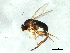  ( - 09BBEDI-1687)  @13 [ ] CreativeCommons - Attribution (2010) Unspecified Centre for Biodiversity Genomics