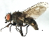  ( - 09BBEDI-1701)  @14 [ ] CreativeCommons - Attribution (2010) Unspecified Centre for Biodiversity Genomics