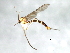  ( - 09BBEDI-1714)  @12 [ ] CreativeCommons - Attribution (2010) Unspecified Centre for Biodiversity Genomics