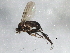  ( - 09BBEDI-1760)  @13 [ ] CreativeCommons - Attribution (2010) Unspecified Centre for Biodiversity Genomics