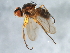  ( - 09BBEDI-1773)  @12 [ ] CreativeCommons - Attribution (2010) Unspecified Centre for Biodiversity Genomics