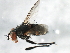  ( - 09BBEDI-1892)  @11 [ ] CreativeCommons - Attribution (2010) Unspecified Centre for Biodiversity Genomics