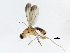  ( - 09BBEDI-1947)  @13 [ ] CreativeCommons - Attribution (2010) Unspecified Centre for Biodiversity Genomics