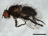  ( - 09BBEDI-1528)  @12 [ ] CreativeCommons - Attribution (2010) Unspecified Centre for Biodiversity Genomics