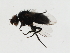  ( - 09BBEDI-1547)  @12 [ ] CreativeCommons - Attribution (2010) Unspecified Centre for Biodiversity Genomics