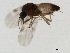  ( - 09BBEDI-1591)  @12 [ ] CreativeCommons - Attribution (2010) Unspecified Centre for Biodiversity Genomics