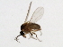  ( - 09BBEDI-1598)  @12 [ ] CreativeCommons - Attribution (2010) Unspecified Centre for Biodiversity Genomics