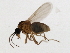  ( - 09BBEDI-1599)  @13 [ ] CreativeCommons - Attribution (2010) Unspecified Centre for Biodiversity Genomics