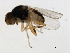  ( - 09BBEDI-1602)  @12 [ ] CreativeCommons - Attribution (2010) Unspecified Centre for Biodiversity Genomics